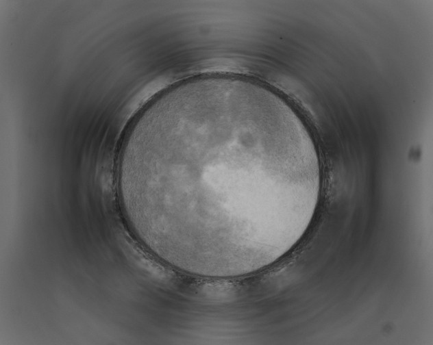 X0000092090882200710101059