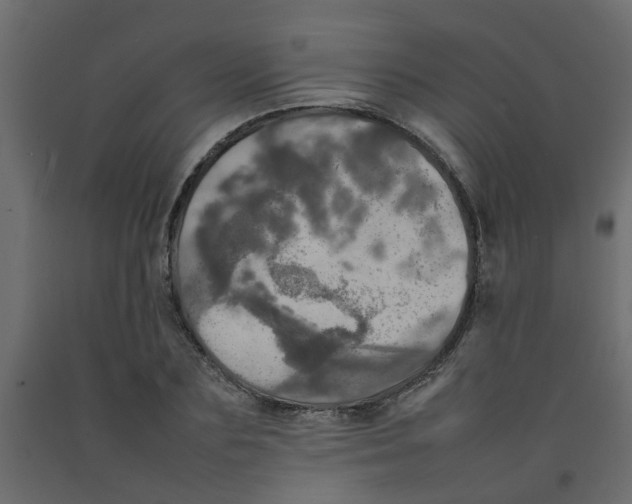 X0000092090883200710101059