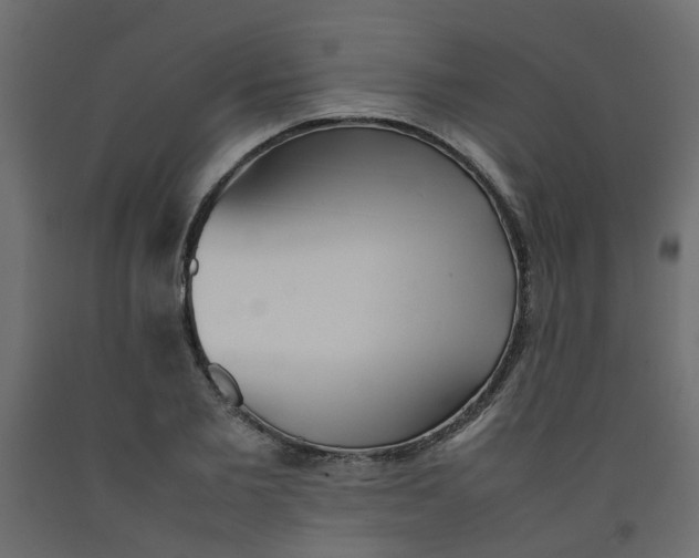 X0000092090885200710101059