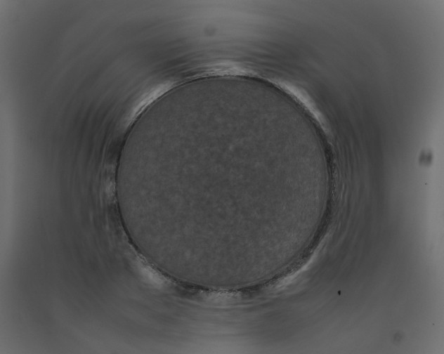 X0000092090889200710101059