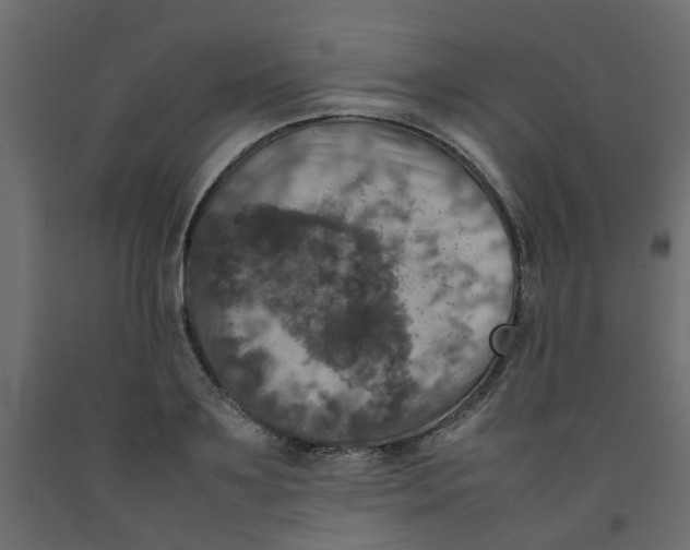 X0000092090891200710101058