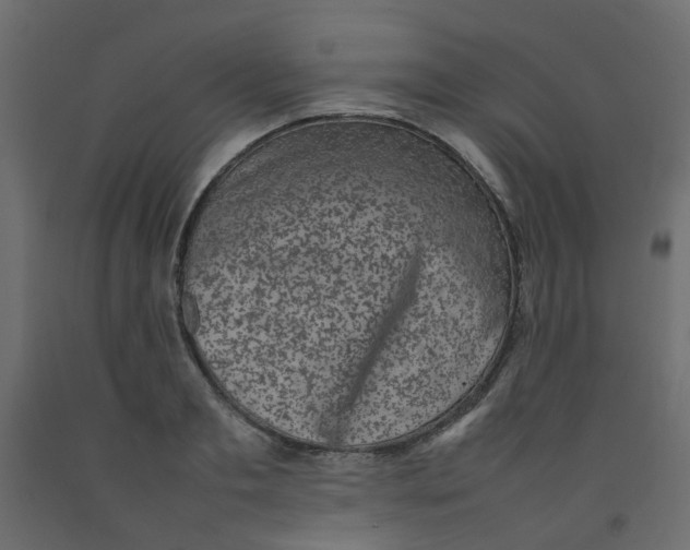 X0000092090893200710101058
