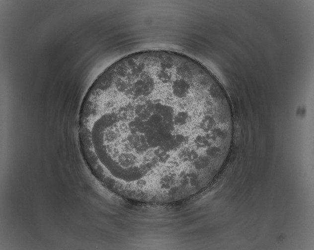 X0000092090895200710101058