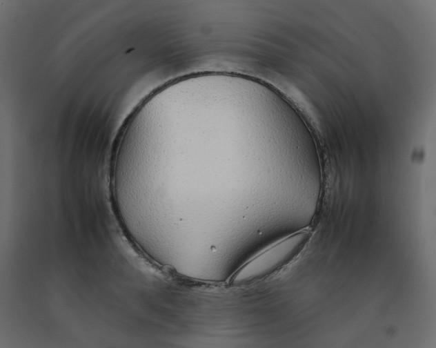 X0000092090896200710101058