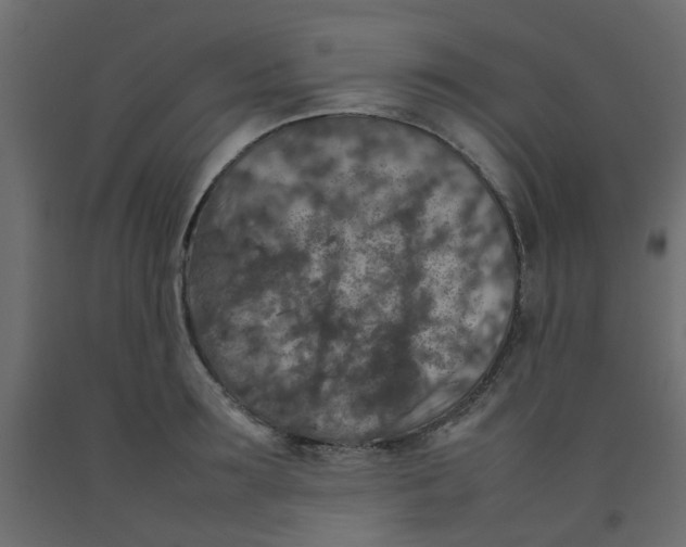 X0000092090899200710101058