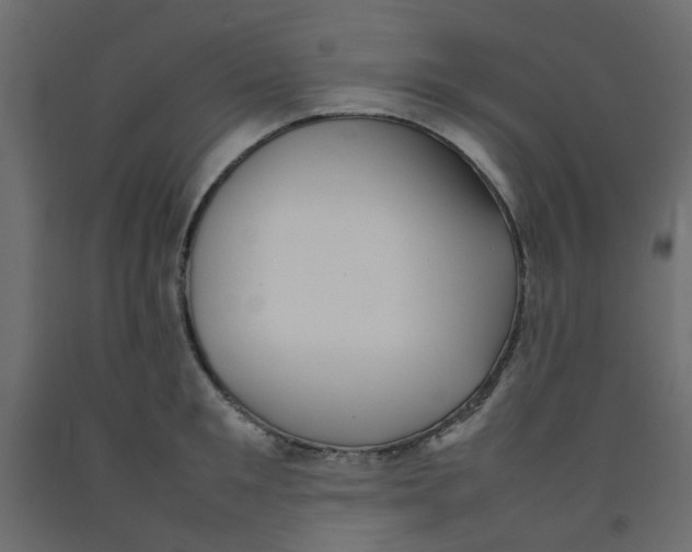 X0000092090901200710101058
