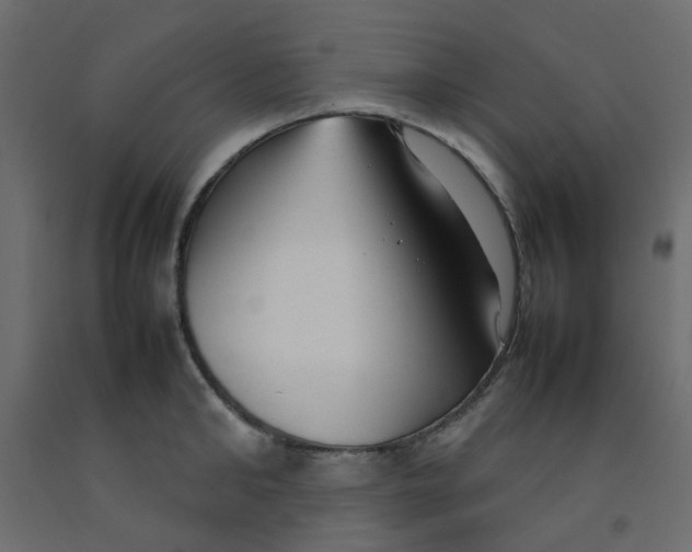 X0000092090902200710101058