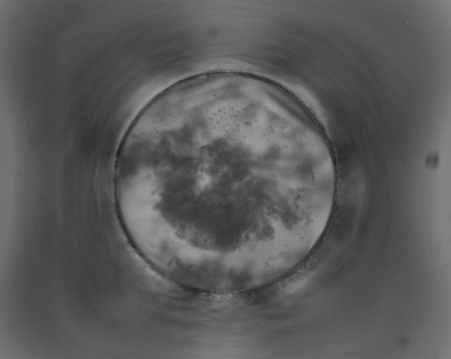 X0000092090903200710101058