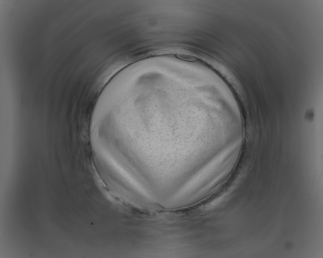 X0000092090905200710101058