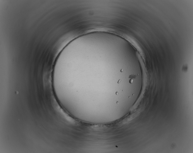 X0000092090906200710101058
