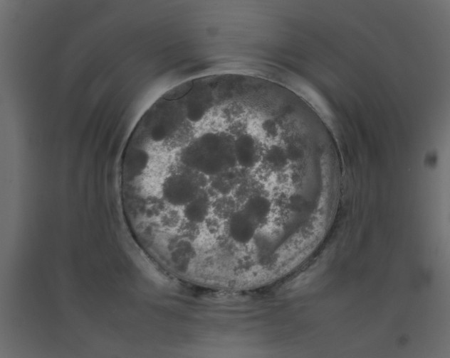 X0000092090907200710101058