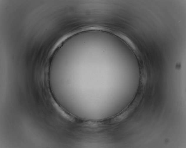 X0000092090910200710101058