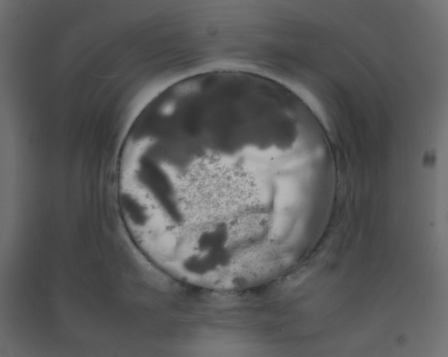 X0000092090911200710101058