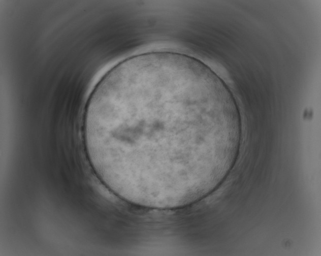 X0000092090912200710101058