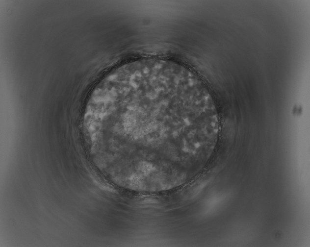 X0000092090913200710101058