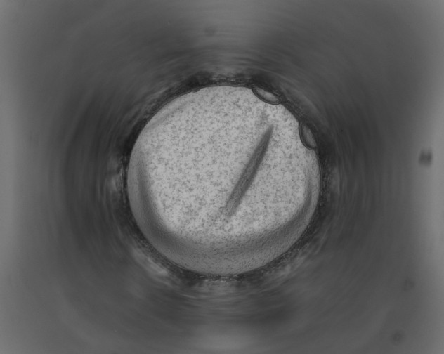 X0000092090914200710101058