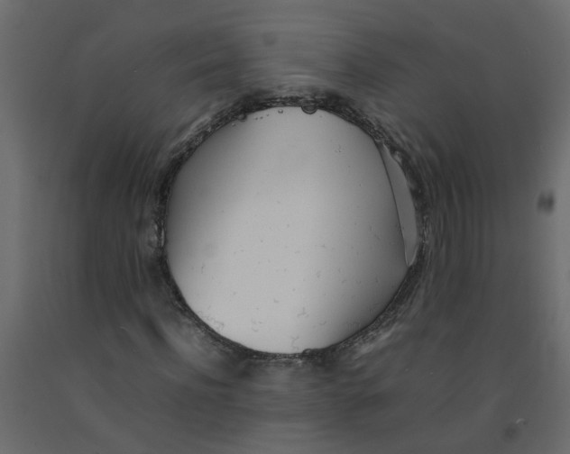 X0000092090916200710101058