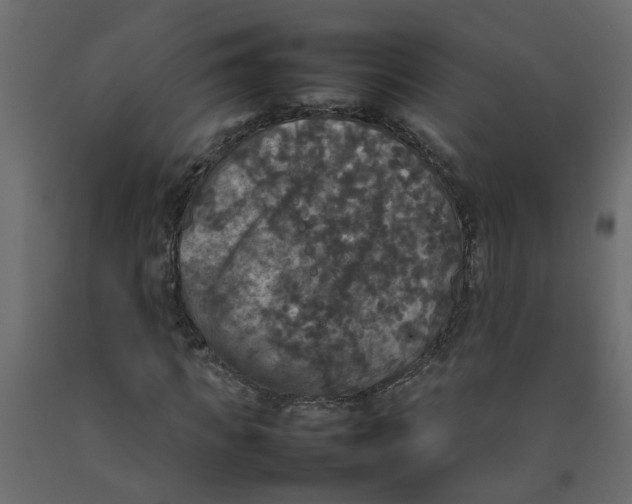 X0000092090917200710101058