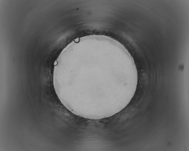 X0000092090918200710101058