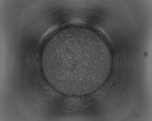 X0000092090919200710101058