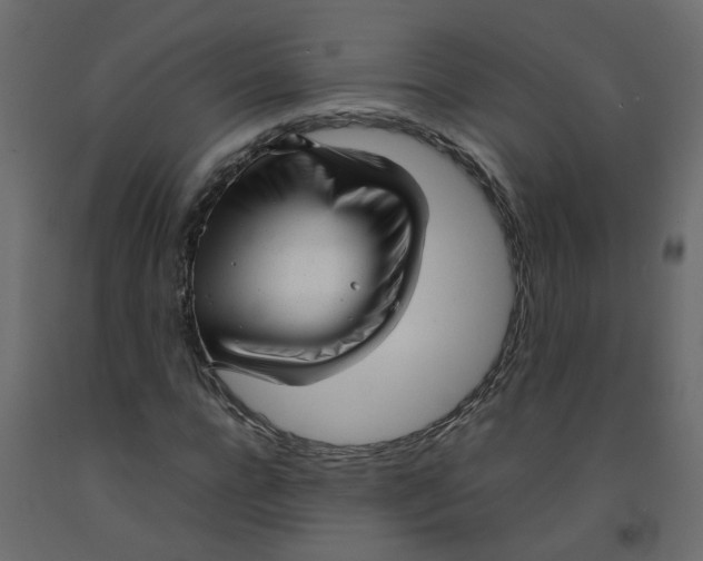 X0000092090920200710101058