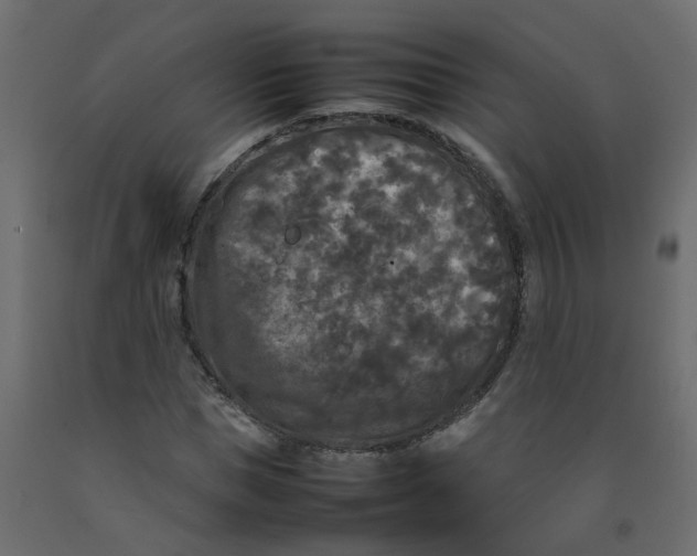 X0000092090921200710101058