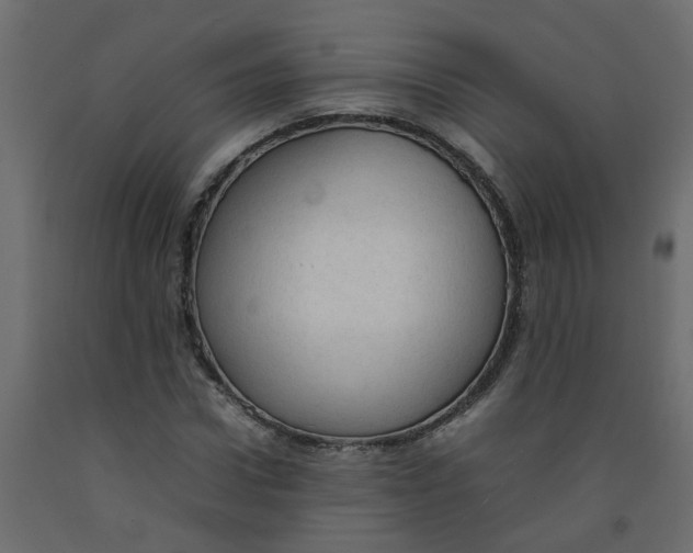 X0000092090922200710101058