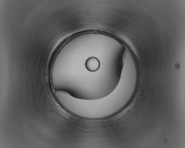 X0000092090924200710101058