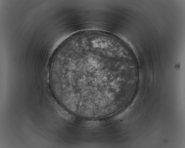 X0000092090925200710101058