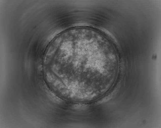 X0000092090929200710101058