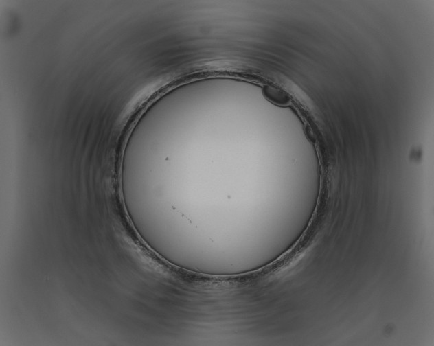 X0000092090930200710101058