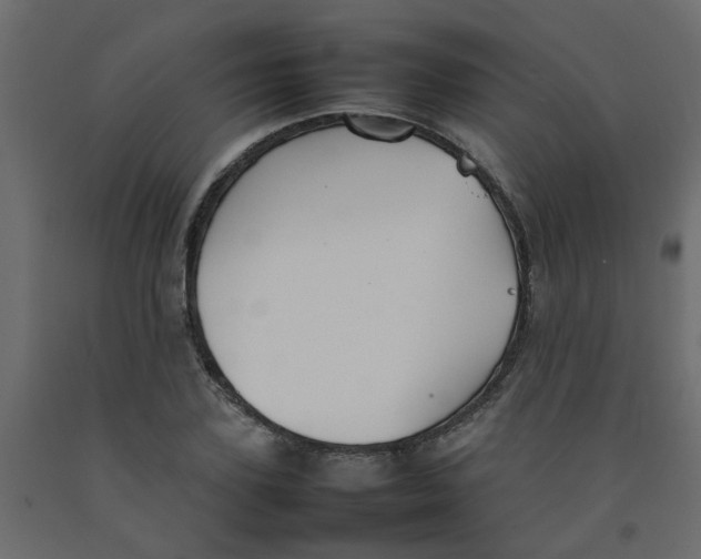 X0000092090931200710101058