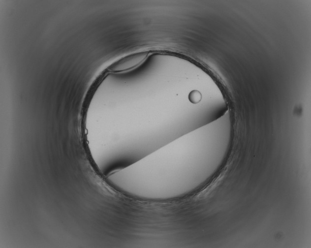 X0000092090932200710101058