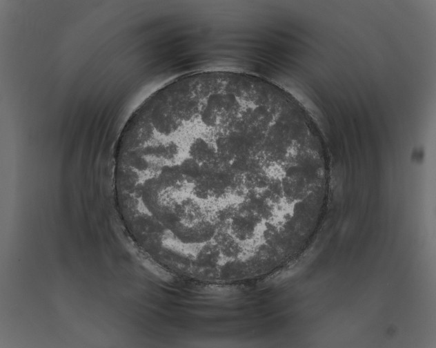 X0000092090933200710101058