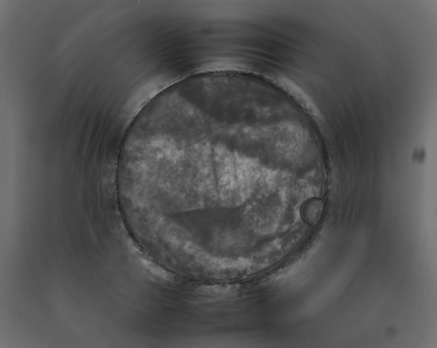 X0000092090937200710101058