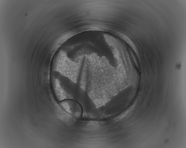 X0000092090938200710101058