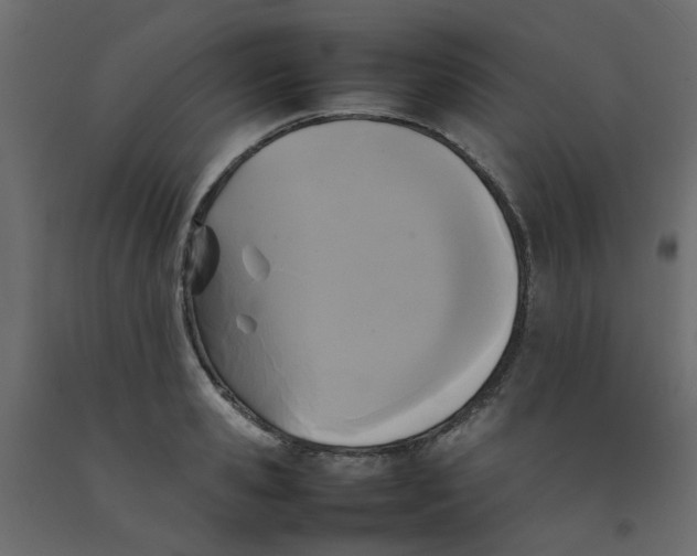 X0000092090941200710101058