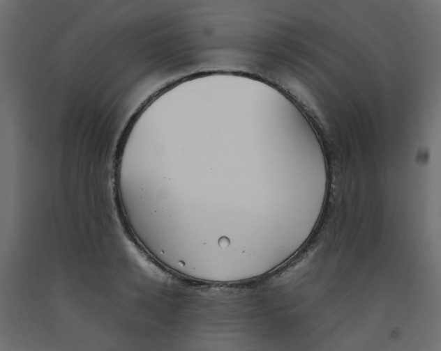 X0000092090942200710101058