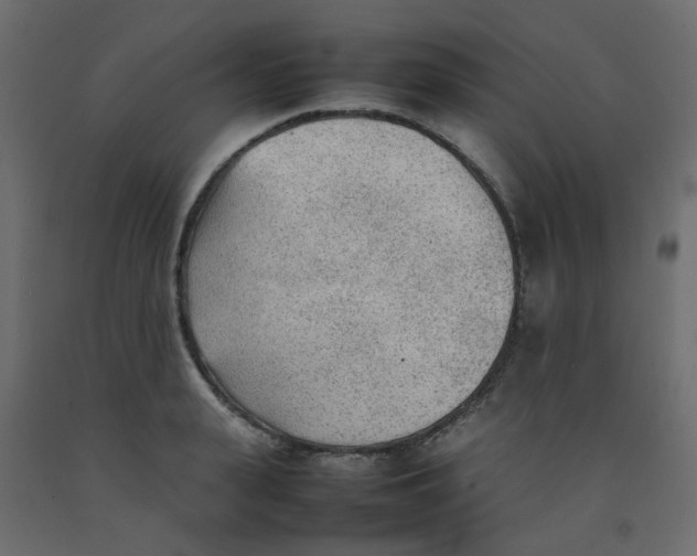 X0000092090943200710101058