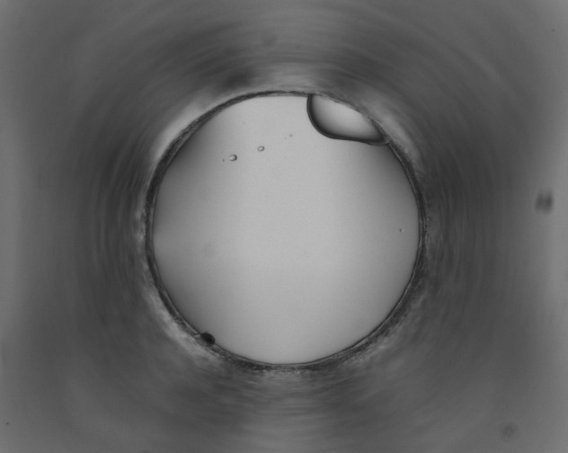 X0000092090944200710101058