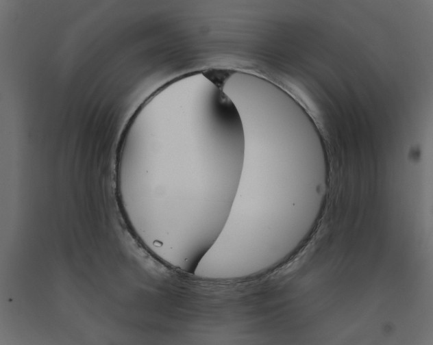 X0000092090948200710101058