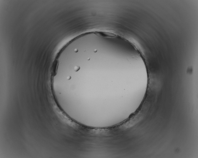 X0000092090952200710101058