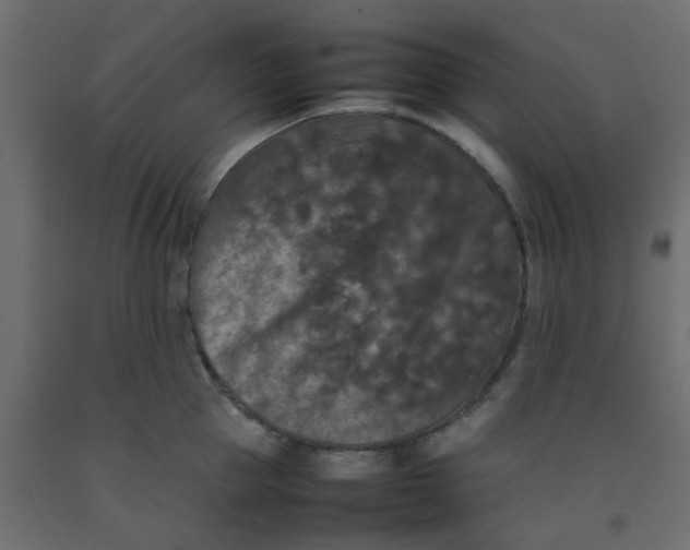 X0000092090953200710101058