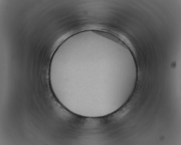 X0000092090954200710101058