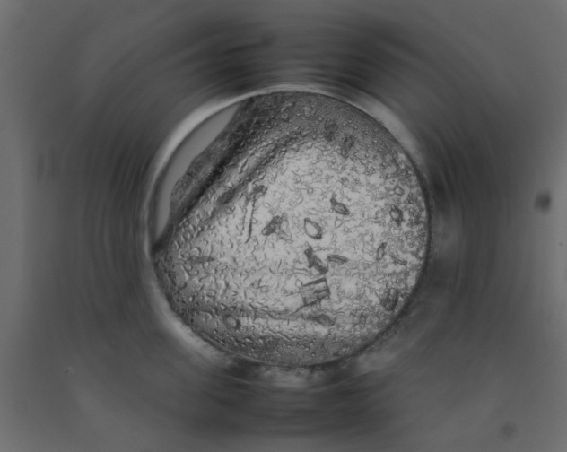 X0000092090955200710101058