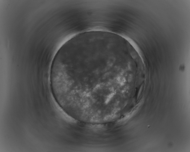 X0000092090957200710101058