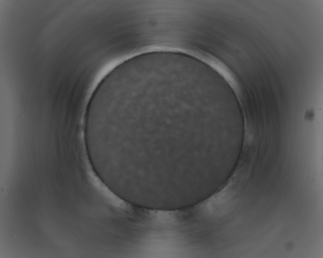 X0000092090958200710101058