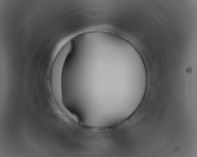 X0000092090960200710101058
