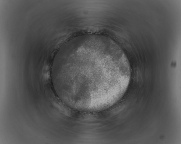 X0000092090962200710101058