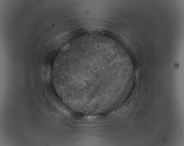 X0000092090963200710101058
